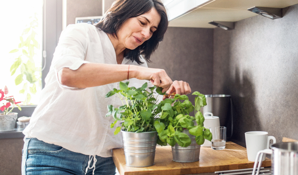 Herbal Remedies You Can Grow in Your Kitchen Garden