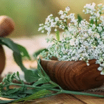 Herbs for Stress, Sleep, and Energy: Nature’s Solutions Explained